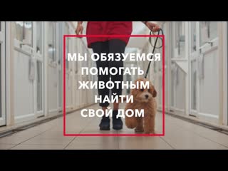 Purina care adoption