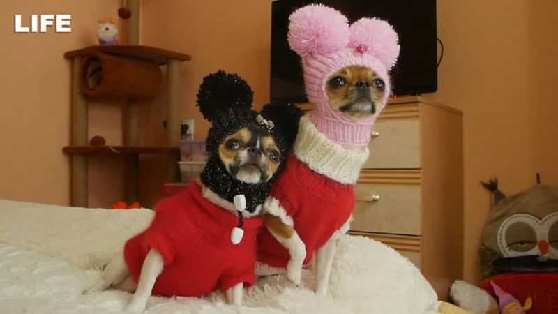 "шапки позитивчики" мастерица из кемеровской области создаёт модную одежду для молодые