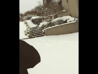 Instagram video by jaden bojsen | snowboarding | swirzerland