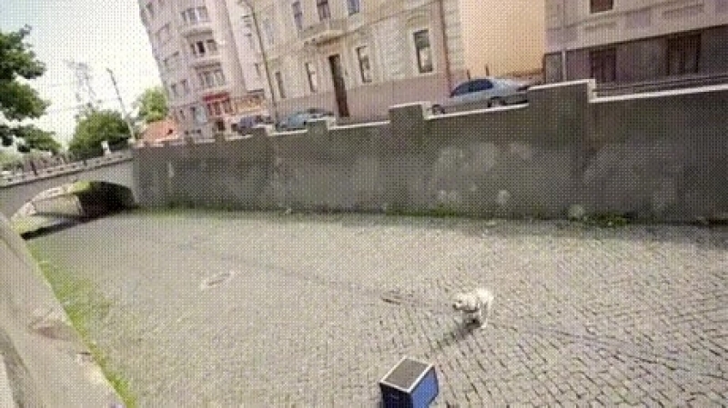 Любитель парт кура!!!