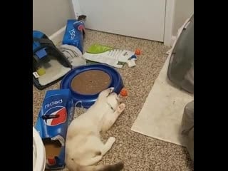 Скука (vhs video)