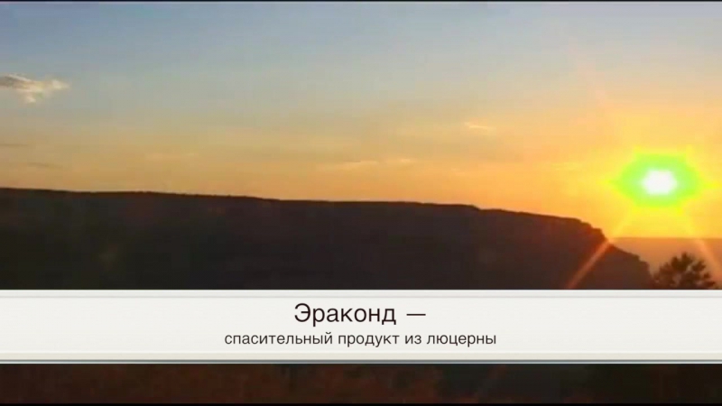 Эраконд спасительный продукт из люцерны