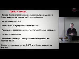 Никита овсяников судьба белого медведя