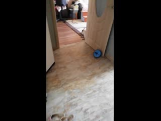 Моя охранница дуся