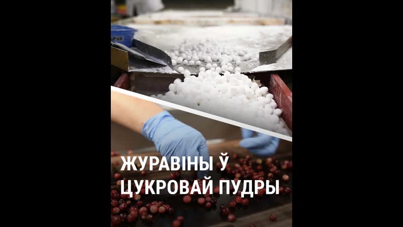 Як у глыбокім вырабляюць журавіны ў цукровай пудры