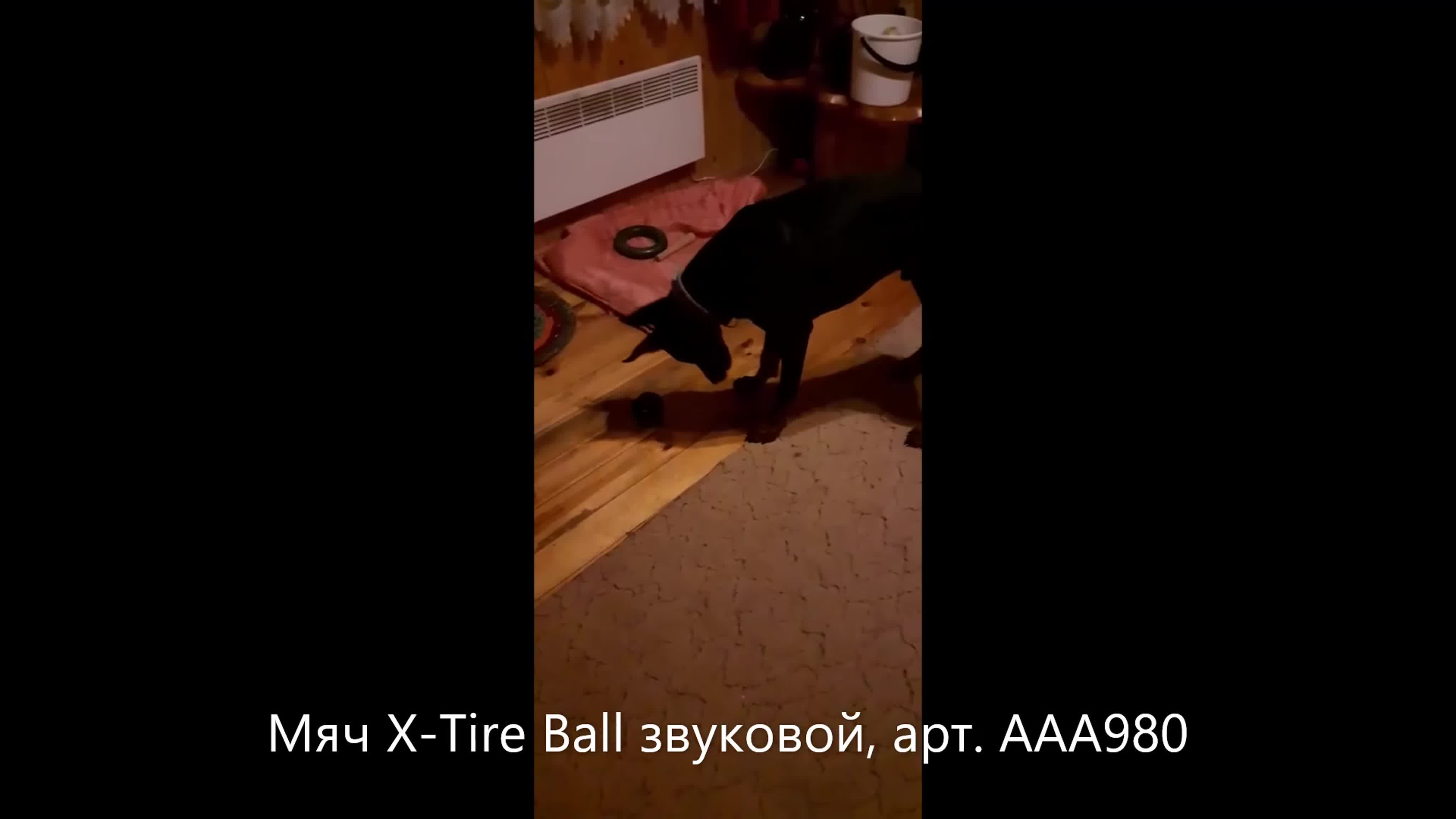 Мяч x tire ball звуковой, арт aaa980