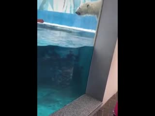 Миха любит купаться