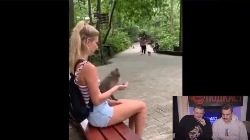 Засмеялся проиграл гена букин