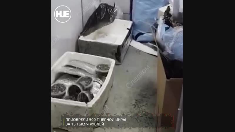 В казани задержали продавцов черной икры