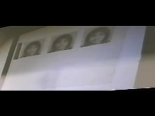 Prof r sapolsky primate sexuality 2