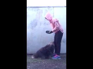 Студентка группы зио 1218 кутлуахметова расима