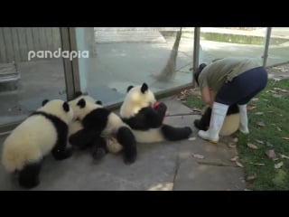 Hard workdays of porn keepers