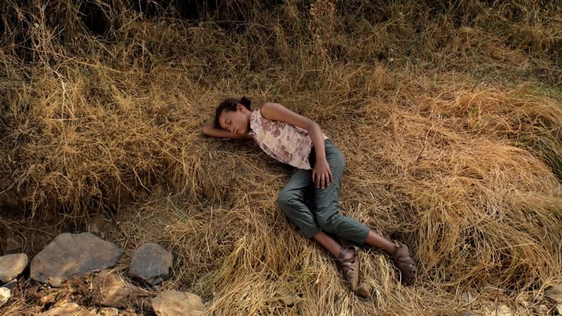 Обитатели пустошей (2017) farpões, baldios (barbs, wastelands)