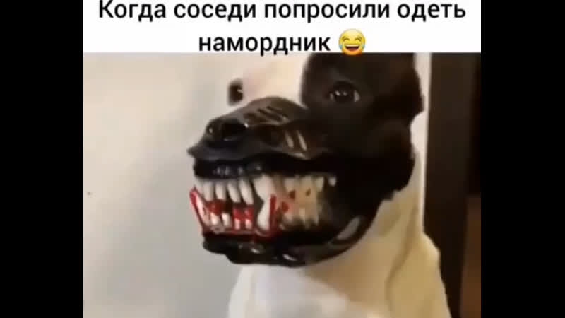 Соседи porn video – Соседи попросили, я сделал