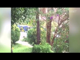 Подборка неудач связанных с погодой