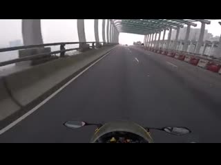 I love bikers, great source of organs the brains are useless, but often the rest is still usable