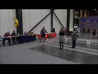 Джоля cacib спб 0703 2020 bos