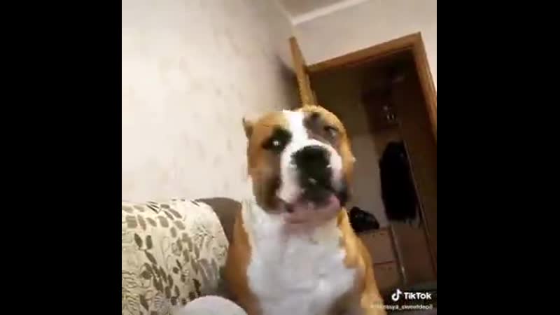 Высказал все, что наболело )))