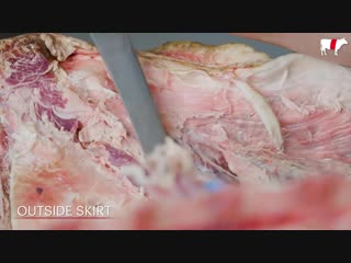 How to butcher an entire cow every cut of meat explained bon appetit