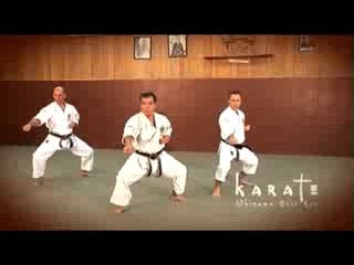 Okinawa karate goju ryu dvd trailer oshiro zenei