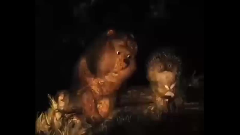 Ёжик в аху