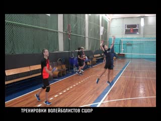 Тренирои волейболистов сшор