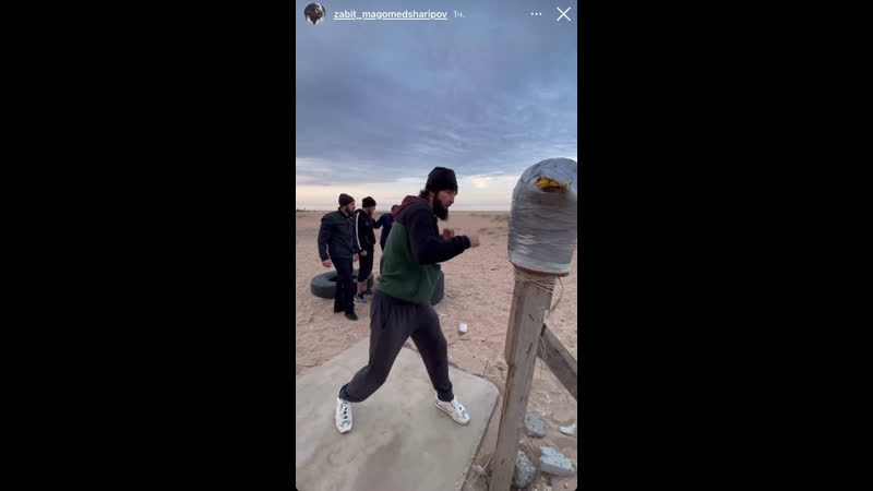 Zabit magomedsharipov on instagram