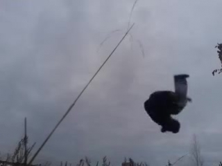 Ghosts team vanek(little wet warm)