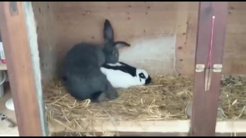 Как бистро 😅