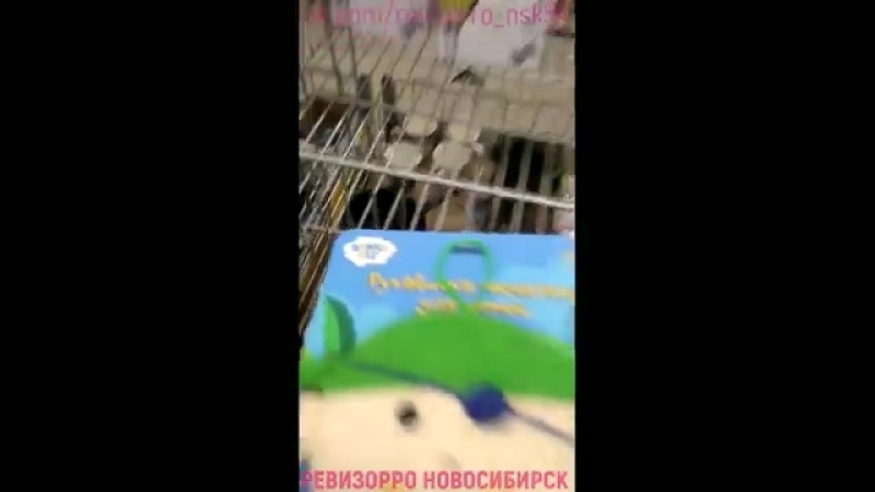 Вот так дурят и не краснеют, должно быть стыдно!