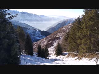 Пвд бутакоа кж бау 13 01 2019