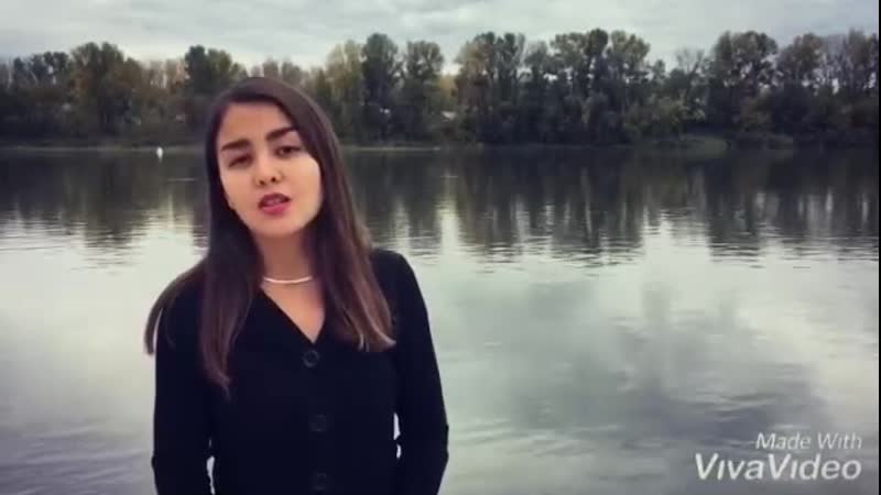 Гөлдәр ишйәрова рәйес түләк