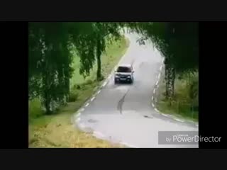 Луче сеница в руке