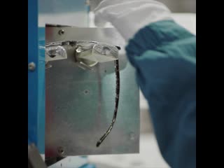 Fattoamano eyewear lace