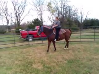 Hip disarticulation riding horse with prosthetic