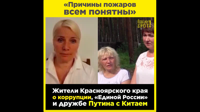 Про пожары, лес, китай и путина с «единой россией»