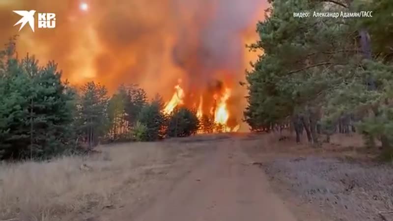 Воронежская область