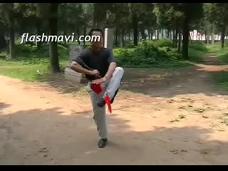 Wushu whip chain front whip kick