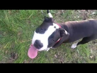 Warrior spirit tegri ( зара ) г красноярск ( yanzhi ma miyet boldbuster christopher lambert )