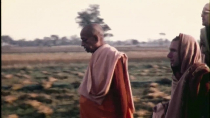 Харе кришна 50 лет служения и радости (rus)