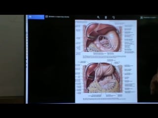 4 модуль, семинар 6(висцеральная сфера)день 2, ч 6