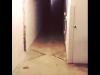 Tried to record a fat ass spider