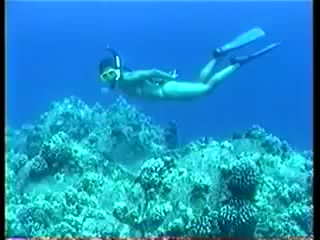 Freedivinggirls porn videos - BEST XXX TUBE