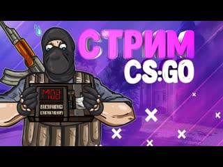 Играем в напы сучки