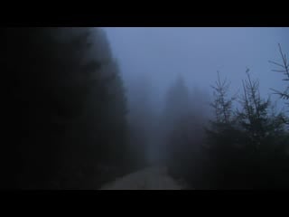 Virtual drive through the dark and foggy forest rain and thunder