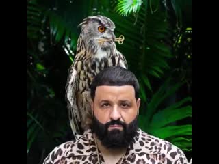 Dj khaled teaser