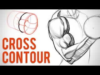 Simplifying arm muscles with cross contour biceps critique