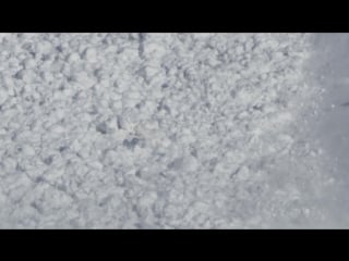 Avalanche! run rabbit run! original video by helipro