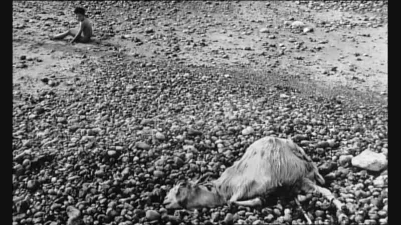 Улисс ulysse (1982) аньес варда agnes varda