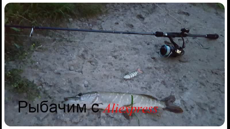 Многосегментный тонущий карась с отличной игрой